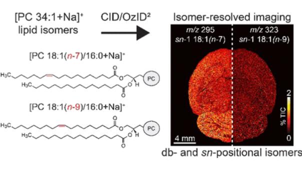 使用美國2B 106-L的論文：臭氧誘導解離的異構體(圖2)
